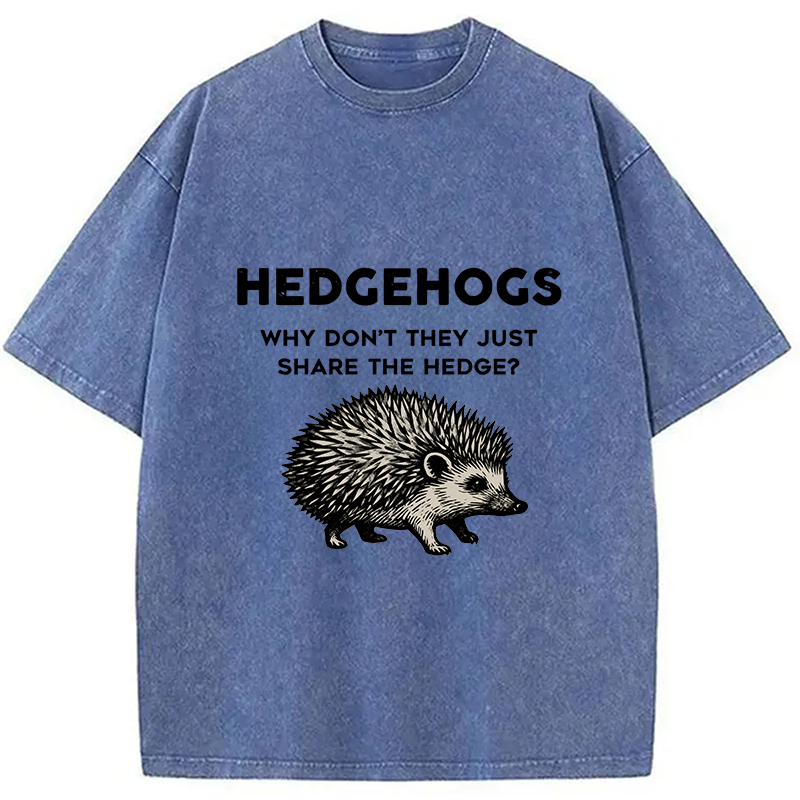 bbb Funny Hedgehog Washed T-Shirt