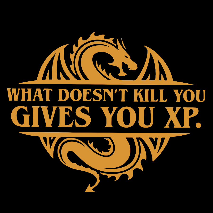 What Doesnt Kill You Give You Experience y T-Shirt
