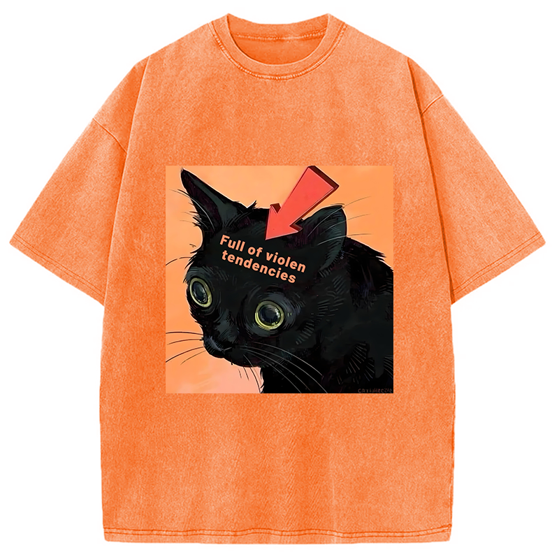 bbb Full of Violen Tendencies Washed T-Shirt