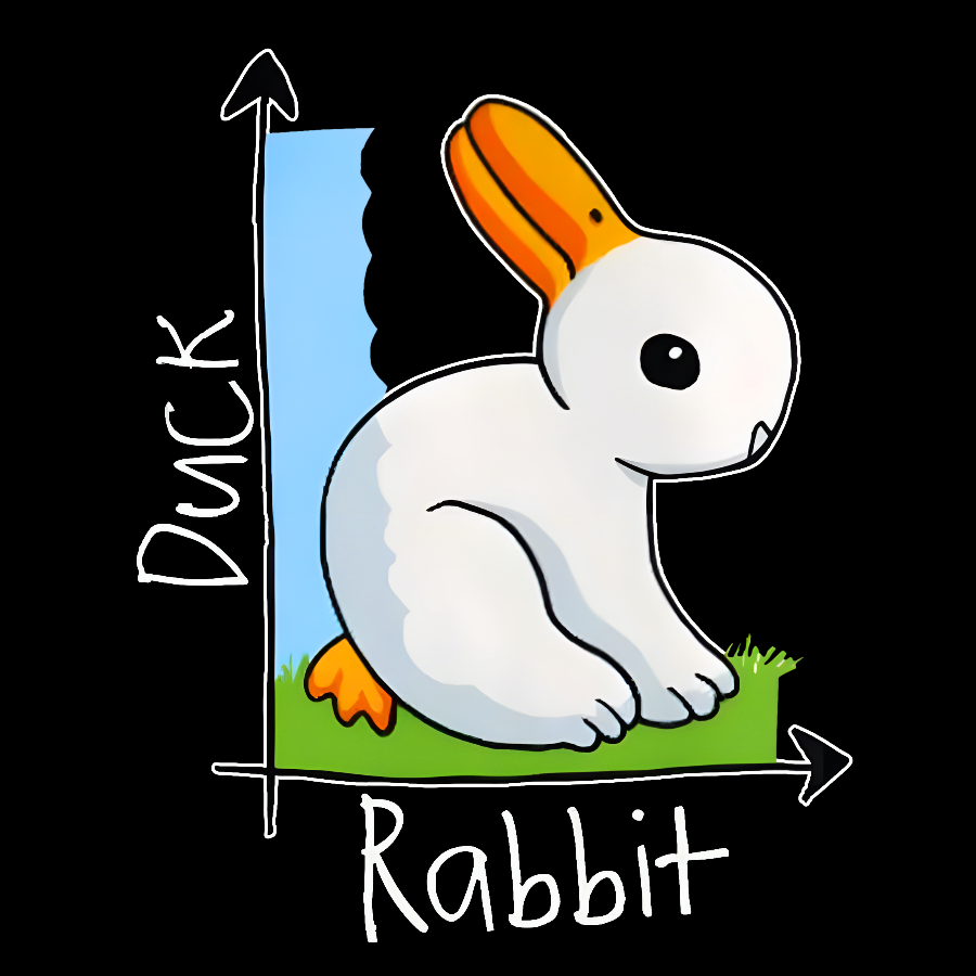 Rabbit or Duck？ T-Shirt