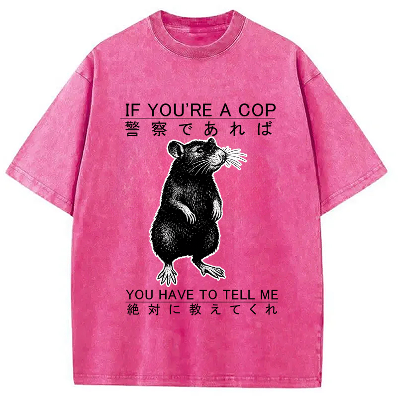 bbb If You're A Cop Japanese Rat Washed T-Shirt