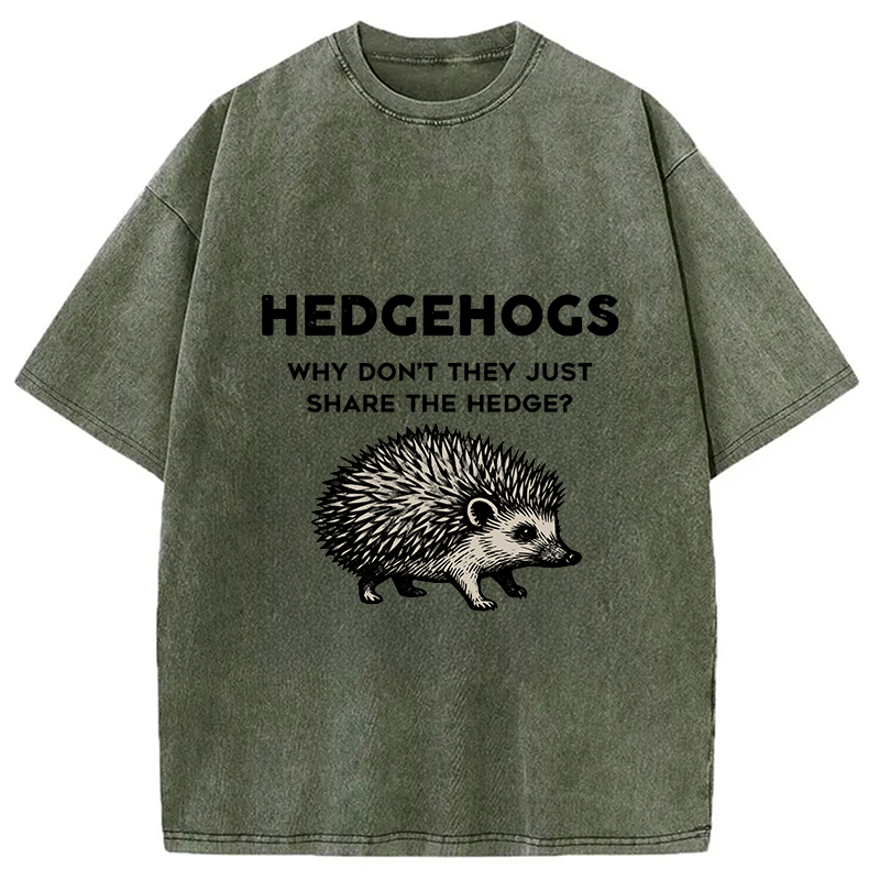 bbb Funny Hedgehog Washed T-Shirt