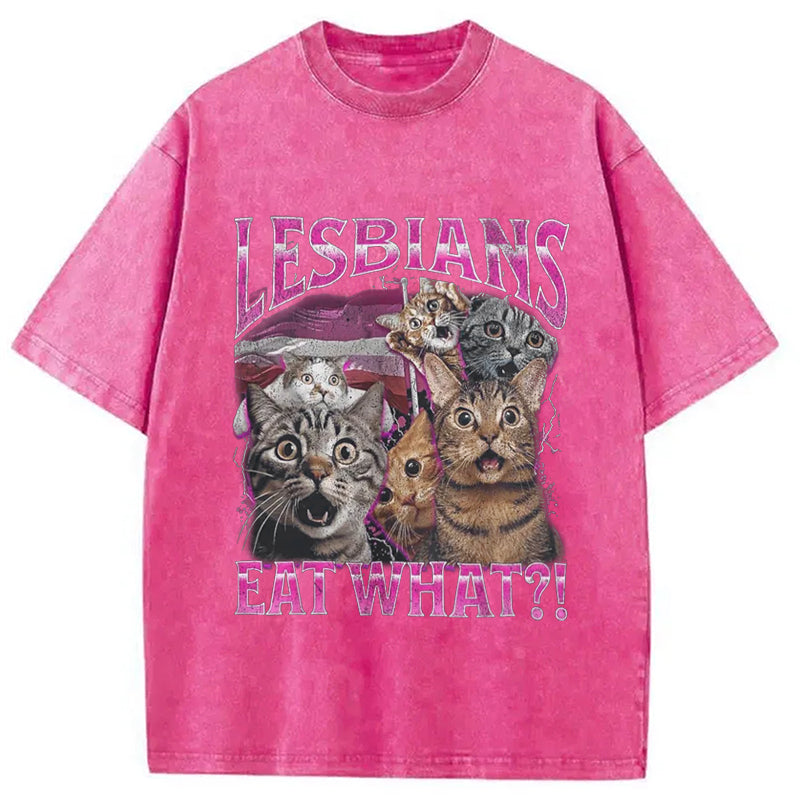bbb Lesbians Eat What?! Funny Washed T-Shirt