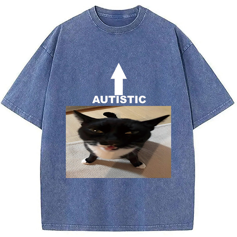bbb Autistic Cat Washed T-Shirt