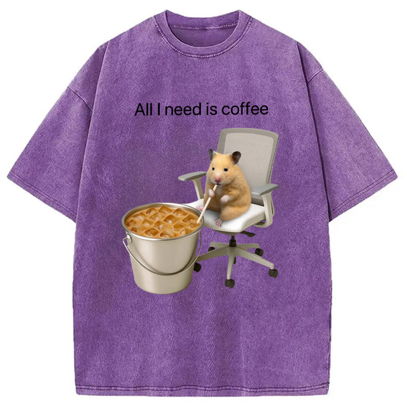 bbb All I Need Is Coffee Meme Washed T-Shirt