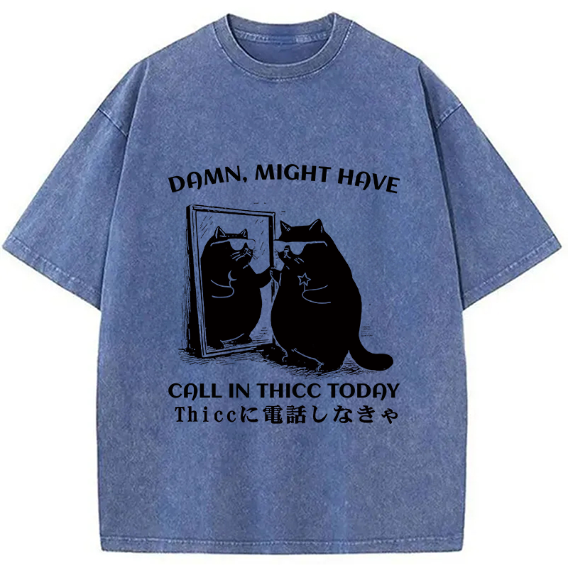bbb Black Cat Admiring Himself Washed T-Shirt