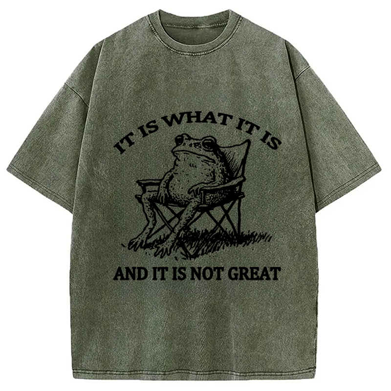 bbb Resting Frog Funny Washed T-Shirt