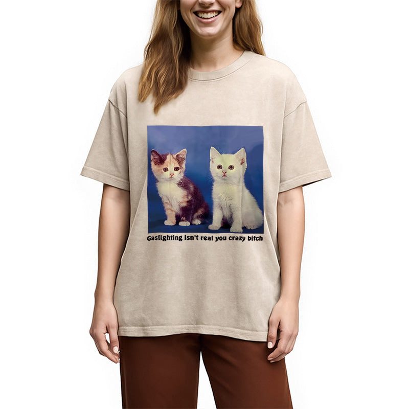 bbb Gaslighting Isn't Real You Crazy Bit*h Washed T-Shirt