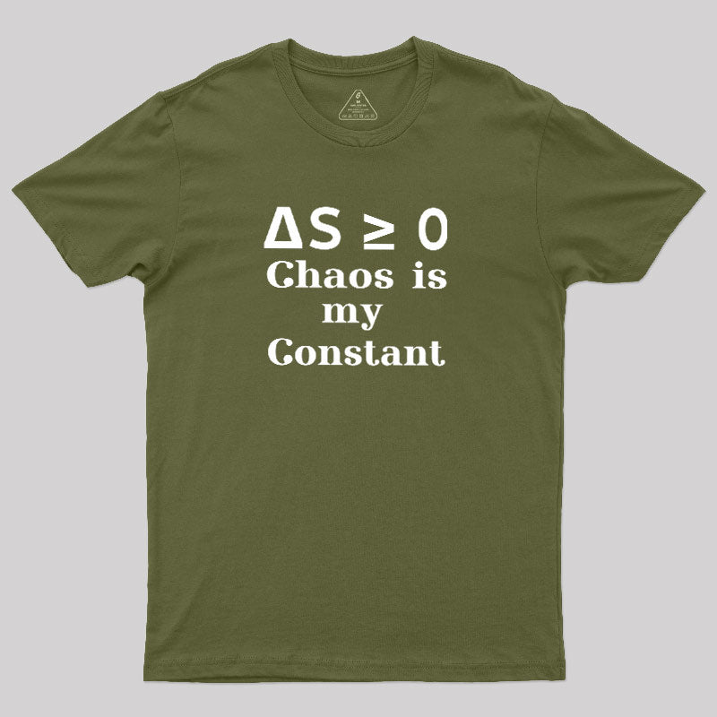 ΔS≥0  T-Shirt