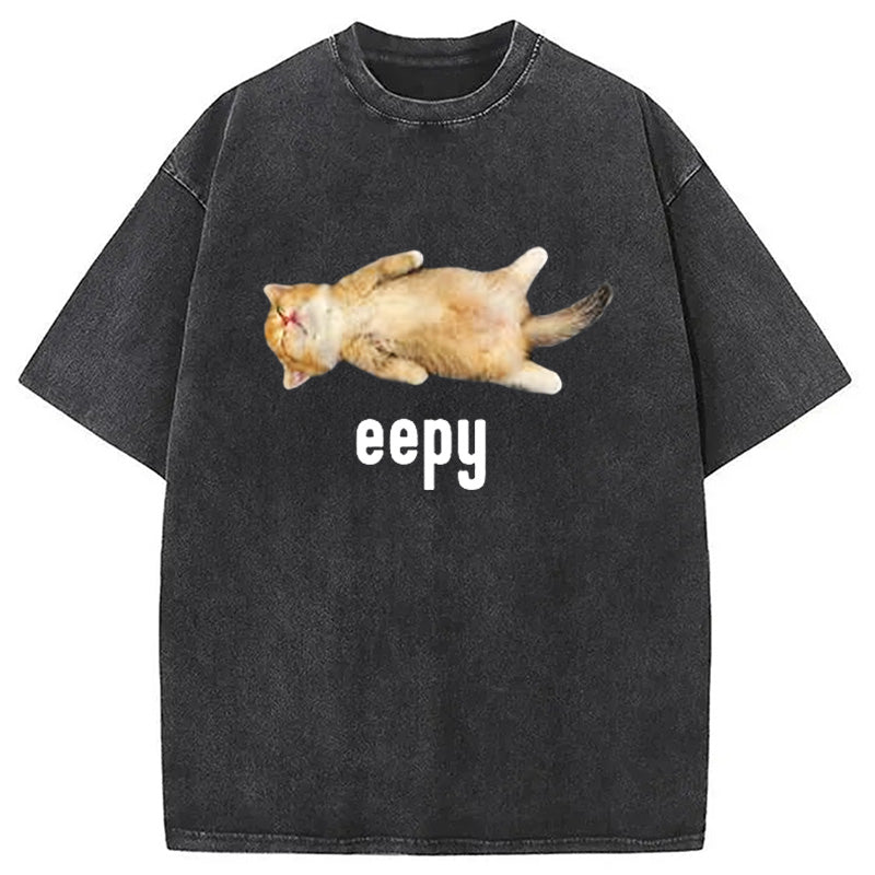 bbb Silly Sleepy Cat Meme Washed T-Shirt
