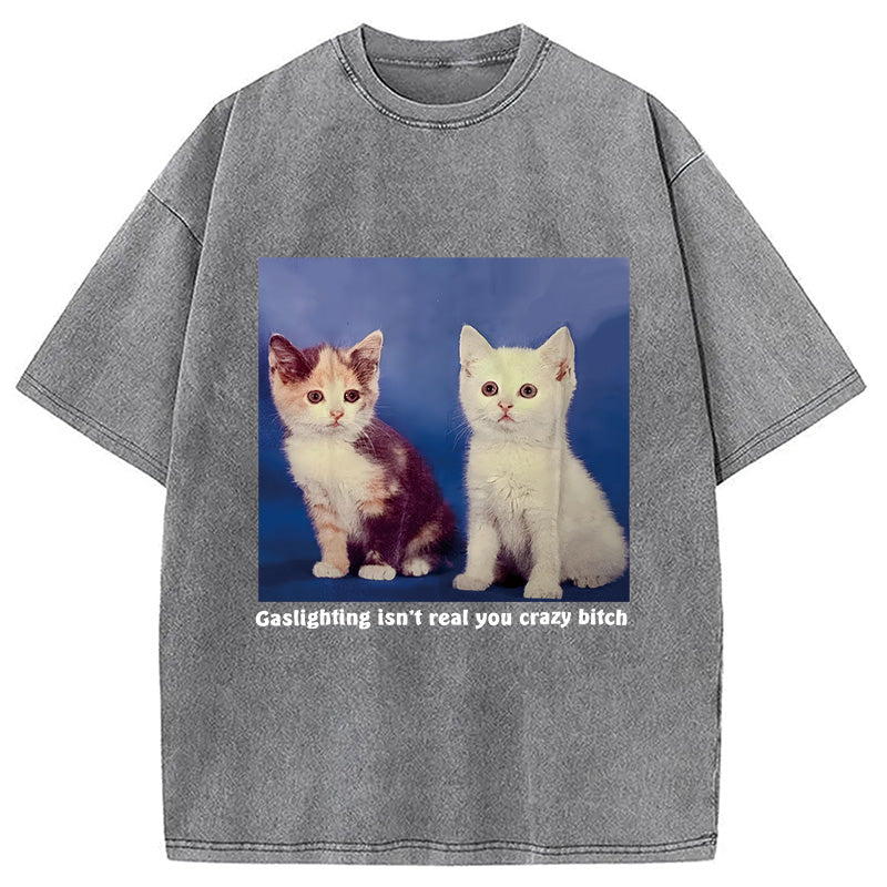 bbb Gaslighting Isn't Real You Crazy Bit*h Washed T-Shirt