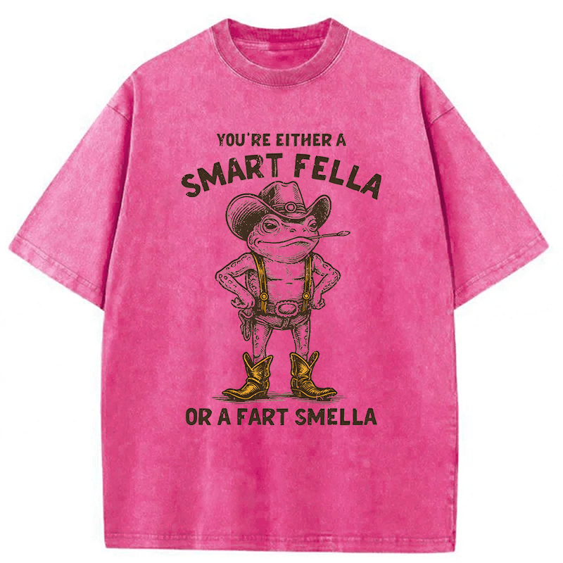 bbb Smart Fella Or Fart Smella Retro Cartoon Frog Washed T-shirt