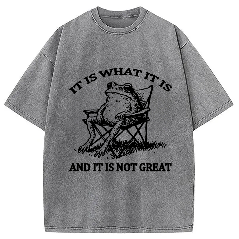 bbb Resting Frog Funny Washed T-Shirt