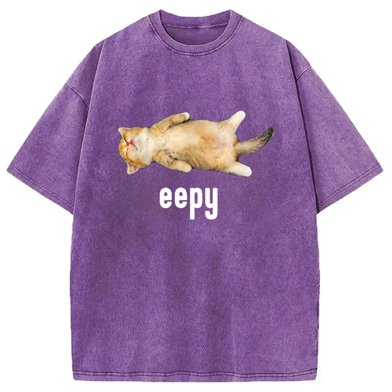 bbb Silly Sleepy Cat Meme Washed T-Shirt