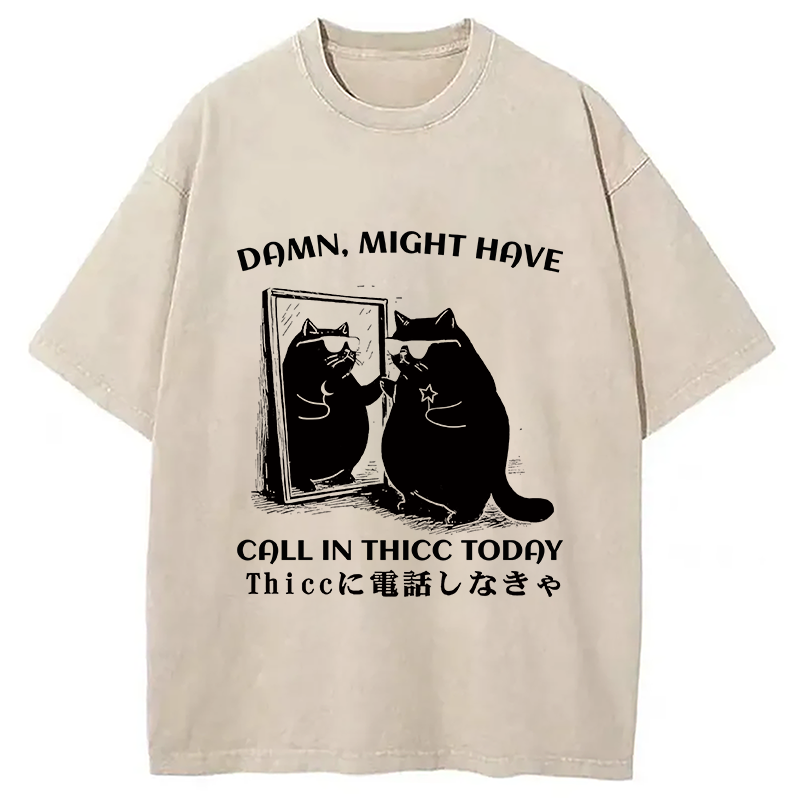 bbb Black Cat Admiring Himself Washed T-Shirt