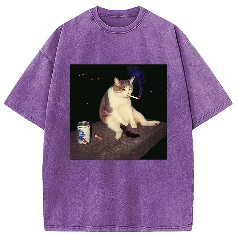 bbb Cigarette Kitten Funny Smoking Cat Meme Washed T-Shirt