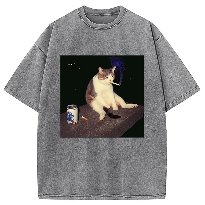bbb Cigarette Kitten Funny Smoking Cat Meme Washed T-Shirt
