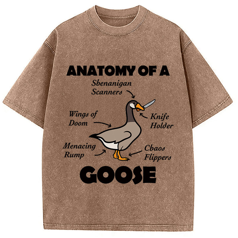bbb Anatomy of A Goose Washed T-Shirt