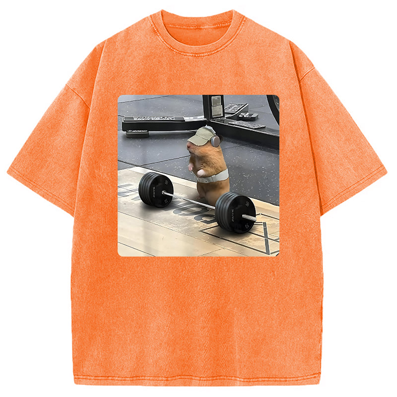 bbb Funny Cute Rat Weightlifting Meme Washed T-Shirt