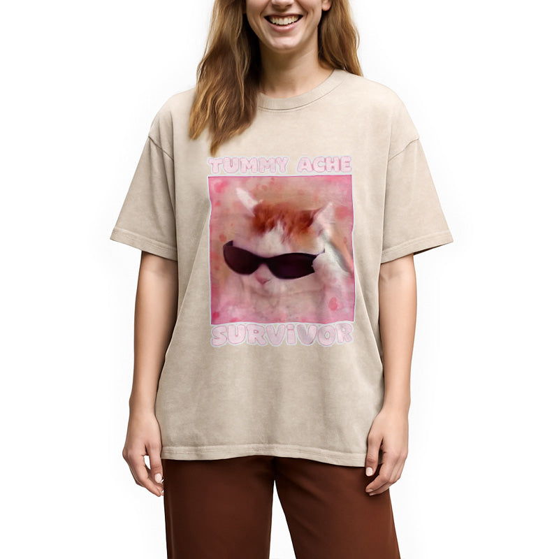 bbb Tummy Ache Survivor Funny Cat Meme Washed T-Shirt