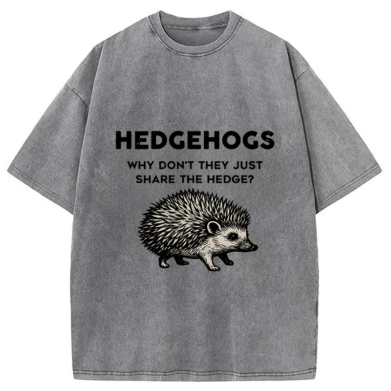 bbb Funny Hedgehog Washed T-Shirt