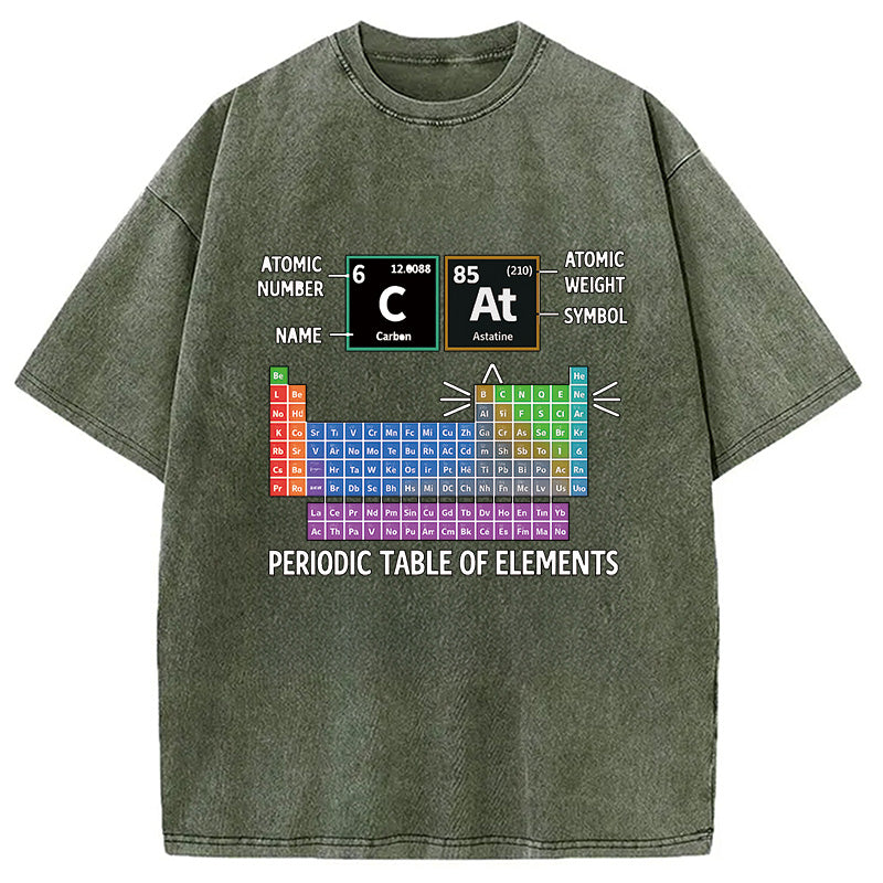 bbb Cat Periodic Table Chemistry Washed T-Shirt