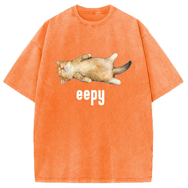 bbb Silly Sleepy Cat Meme Washed T-Shirt