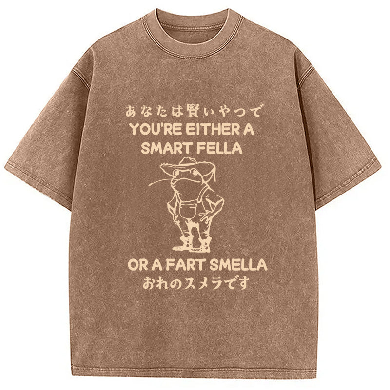 bbb Are You A Smart Fella Or Fart Smella Washed T-Shirt