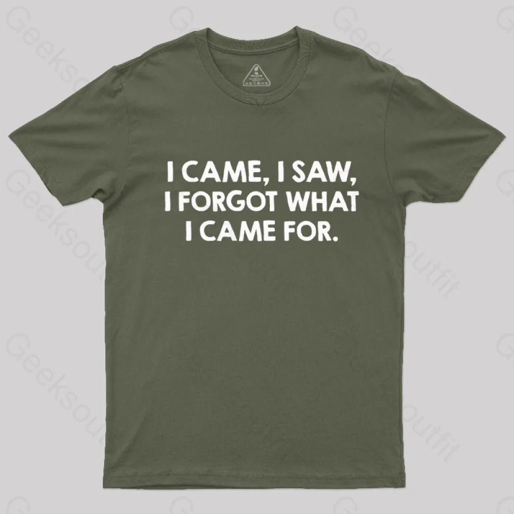 I Came and Saw  T-Shirt