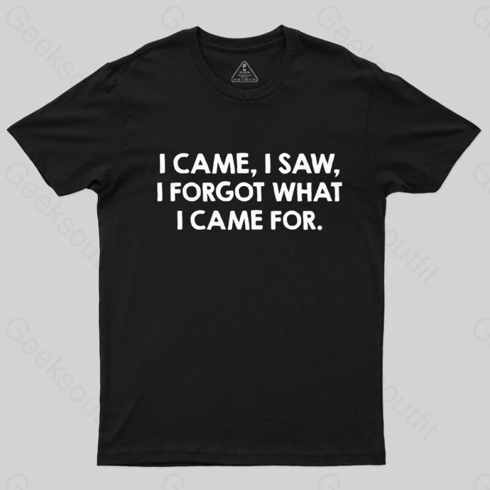 I Came and Saw  T-Shirt