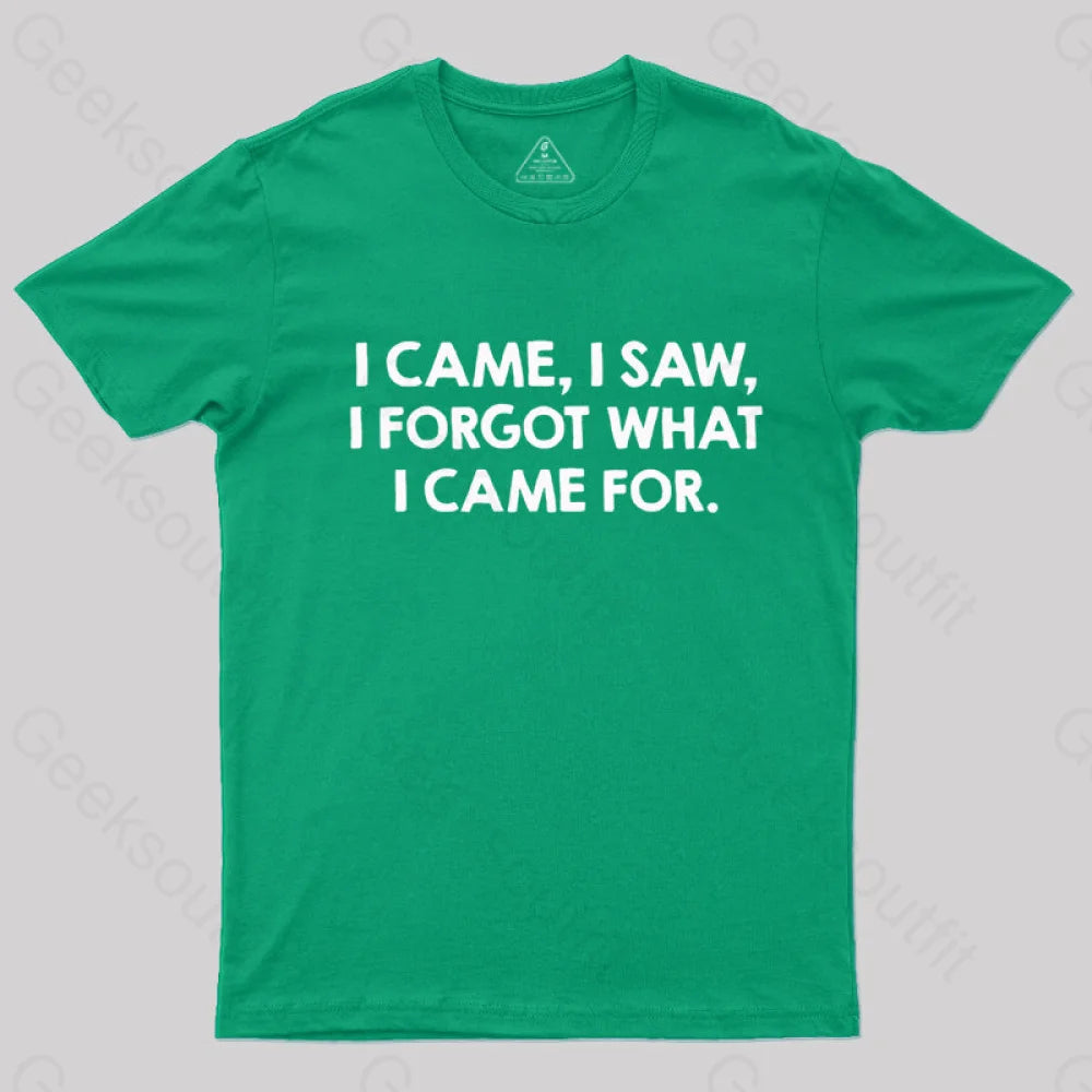I Came and Saw  T-Shirt