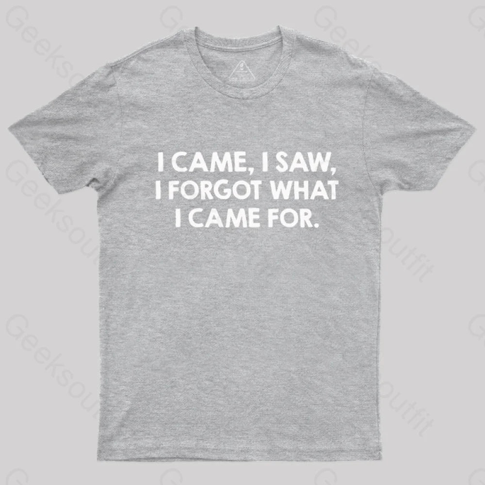 I Came and Saw  T-Shirt