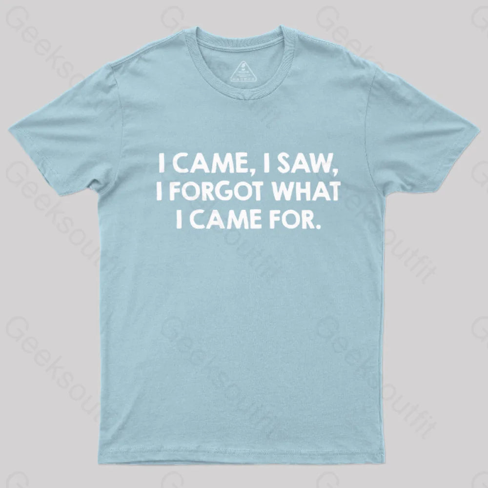 I Came and Saw  T-Shirt