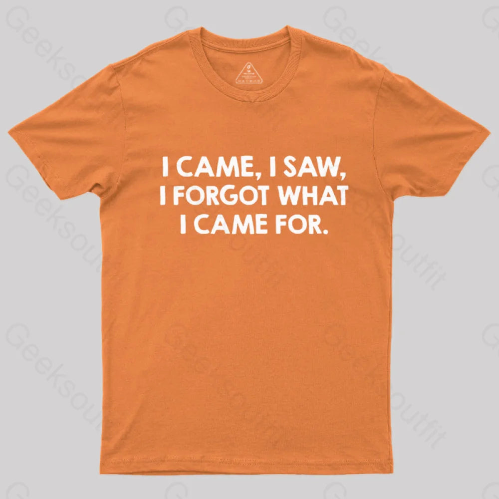 I Came and Saw  T-Shirt