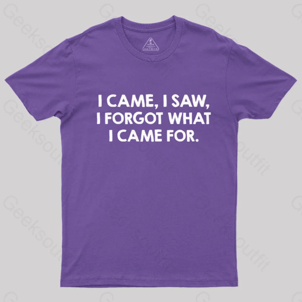 I Came and Saw  T-Shirt