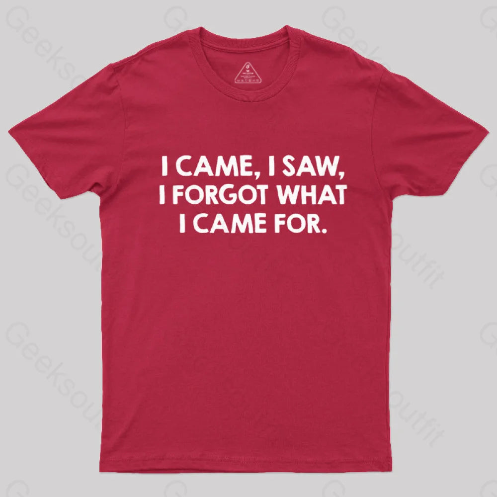I Came and Saw  T-Shirt