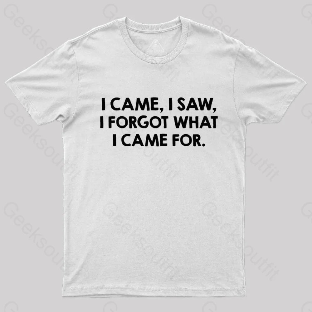 I Came and Saw  T-Shirt