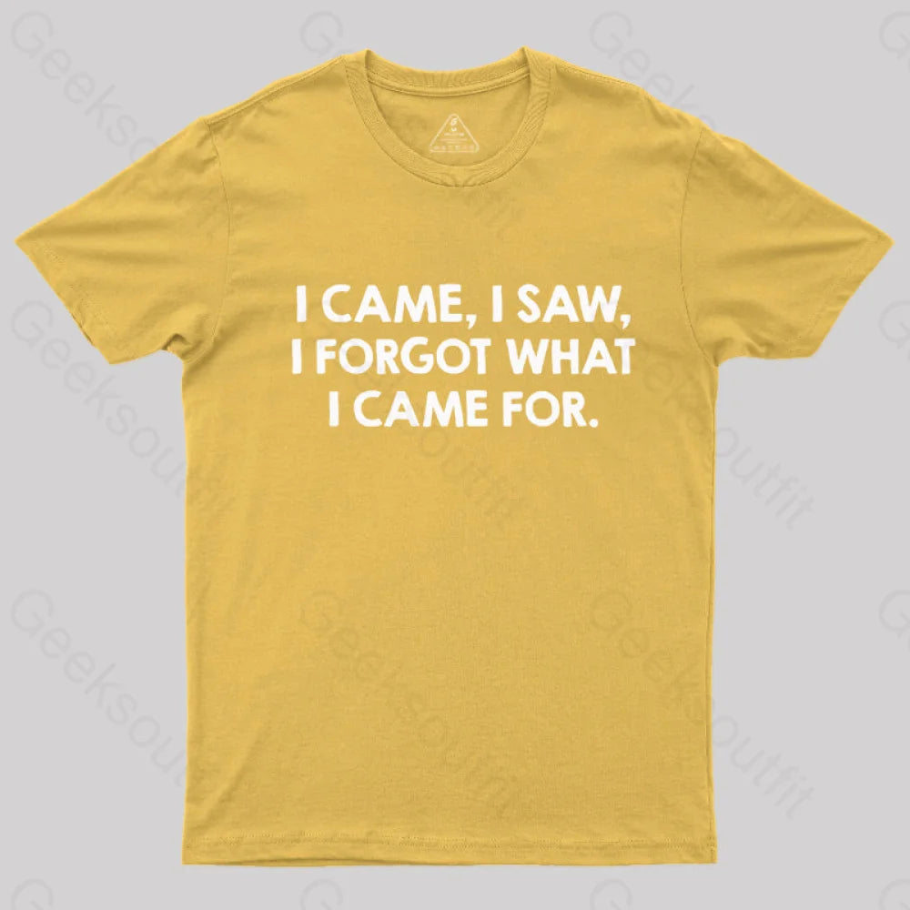 I Came and Saw  T-Shirt