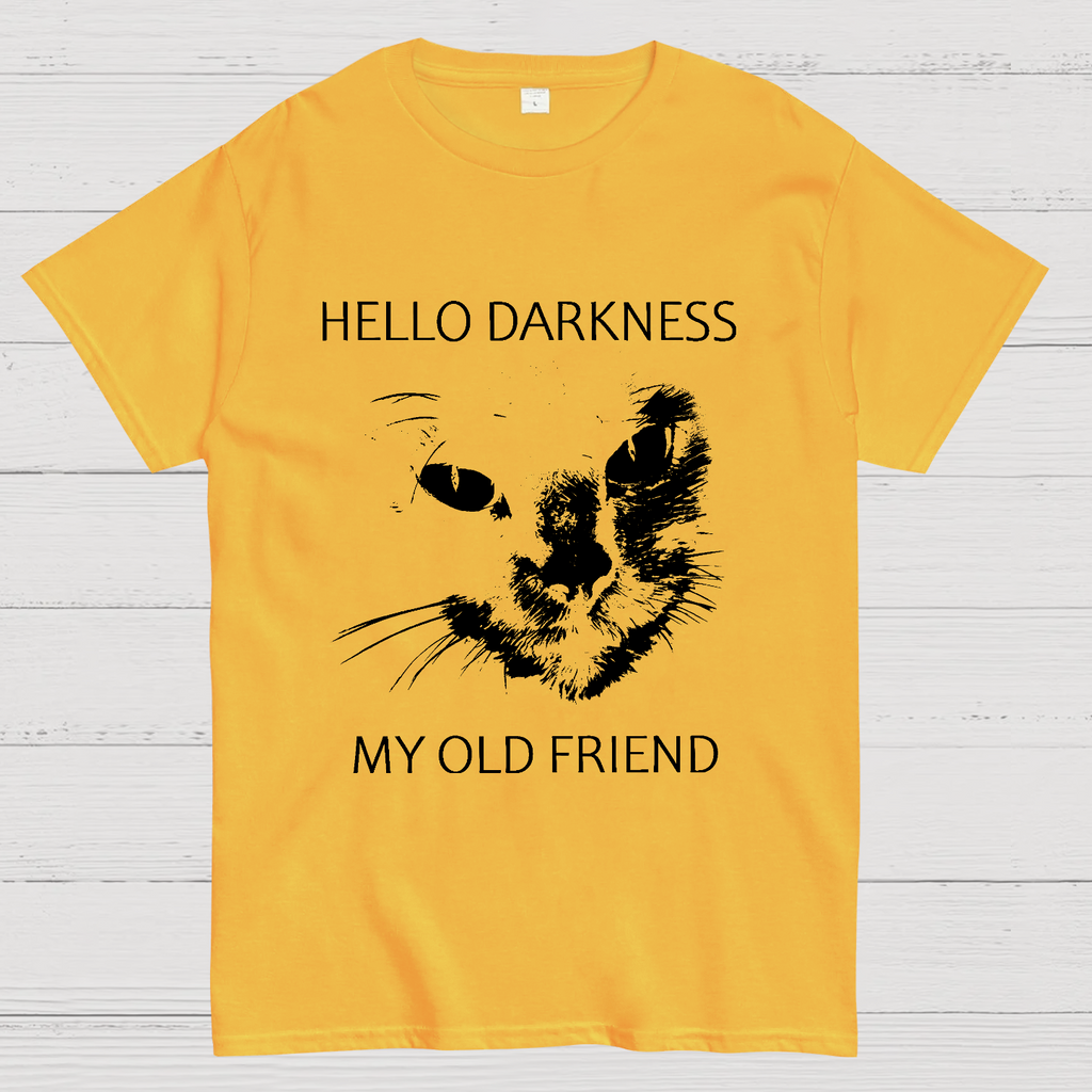 Hello Darkness My Old Friend y T-Shirt