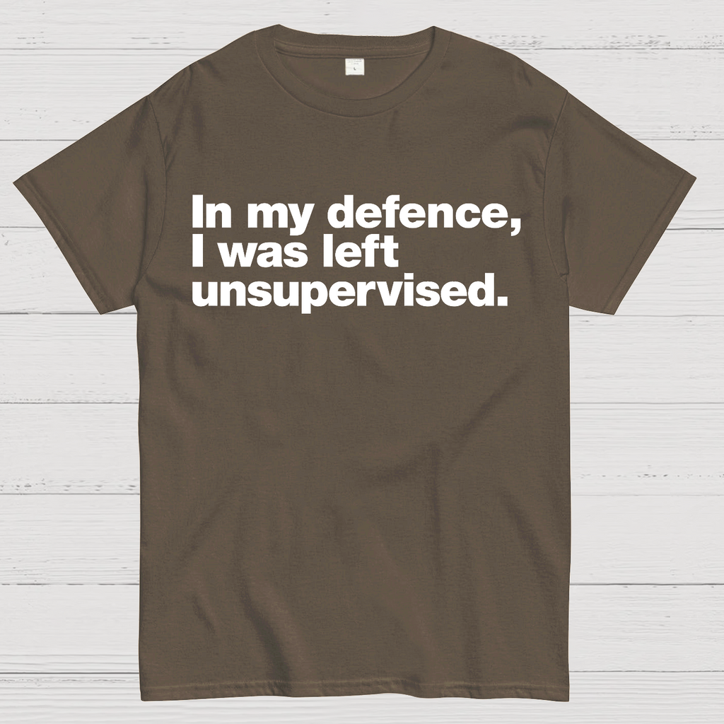 In My Defence，I Was Left Unsupervised. T-Shirt