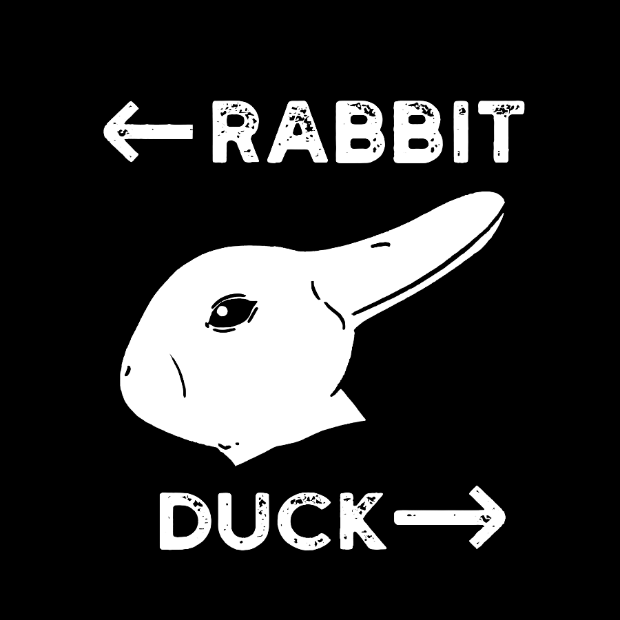 Wittgensteins Rabbit Duck y T-Shirt