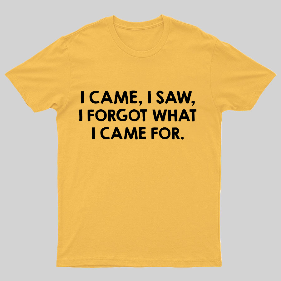 I Came and Saw Funny y T-Shirt