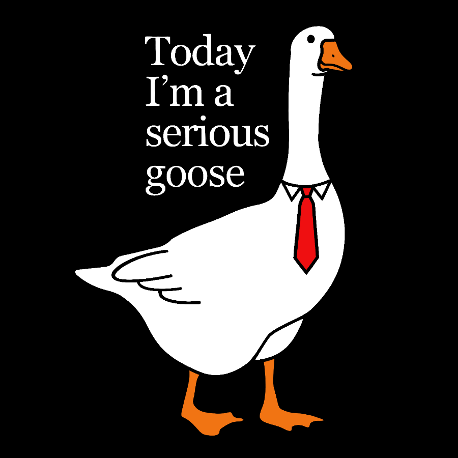 Today I'm A Serious Goose y T-Shirt