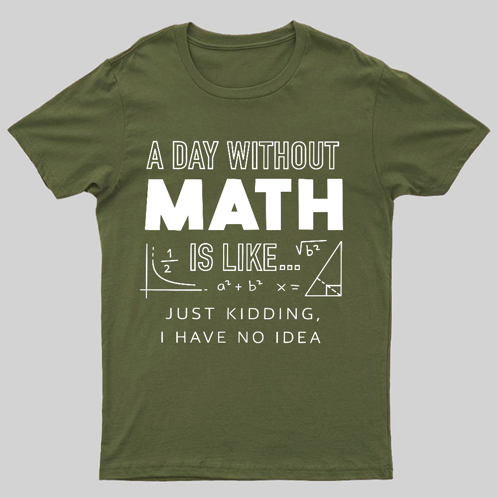 A Day Without Math Is Like y T-Shirt