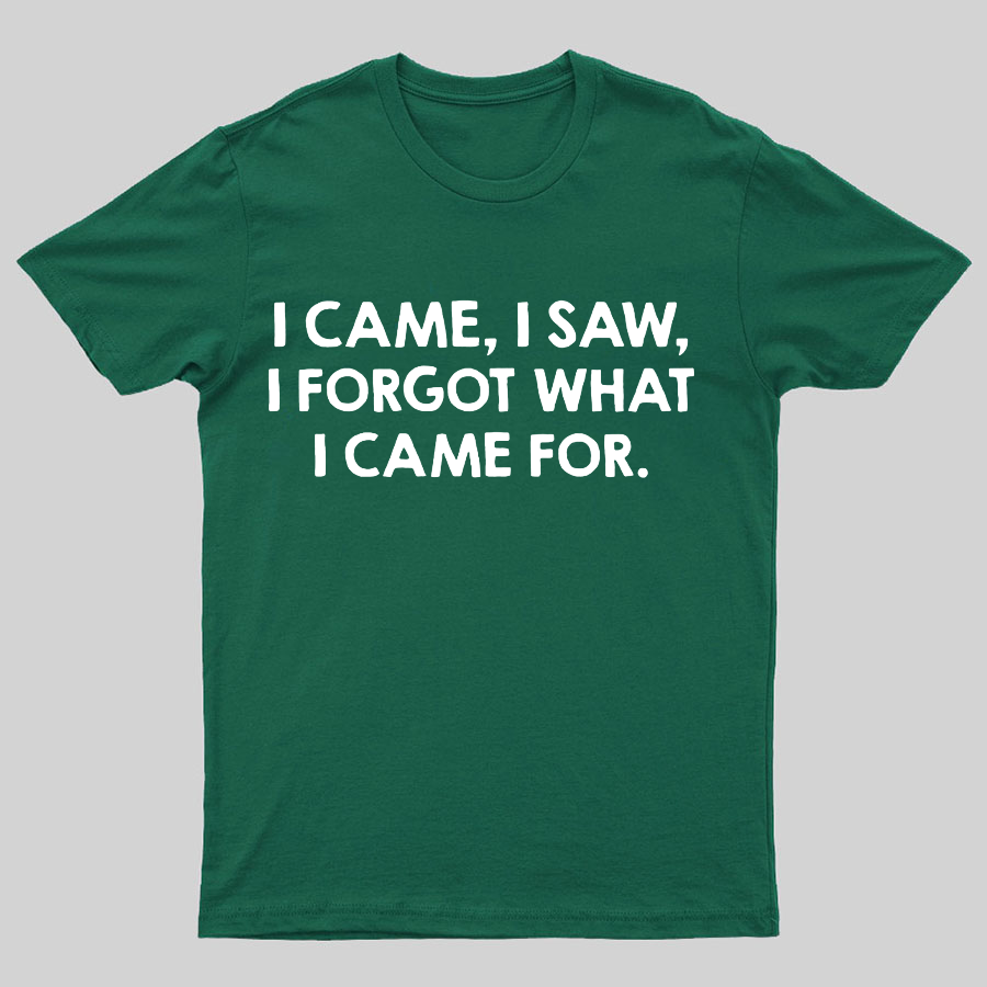 I Came and Saw Funny y T-Shirt