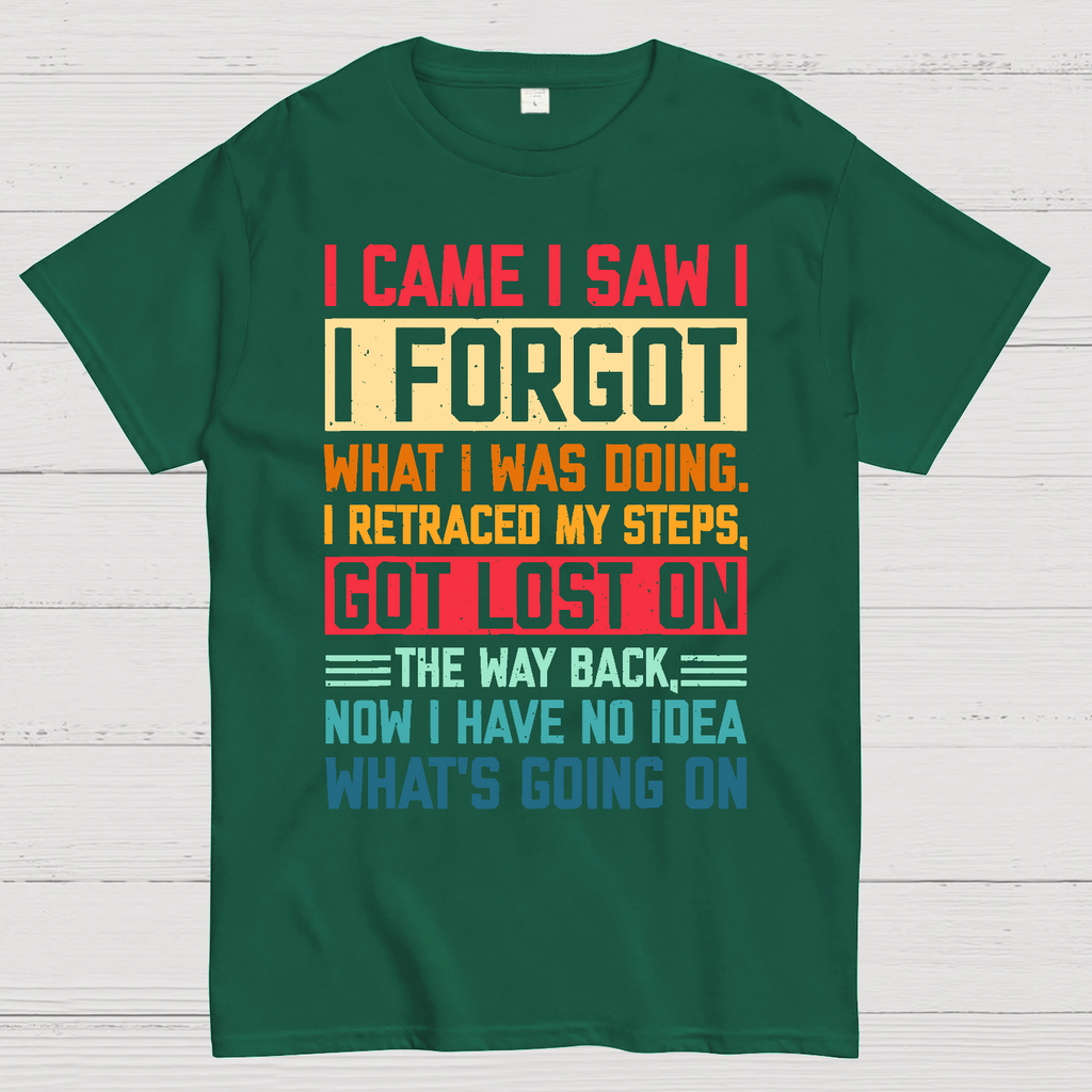 I Came I Saw I Forgot What I Was Doing Sarcastic  T-Shirt
