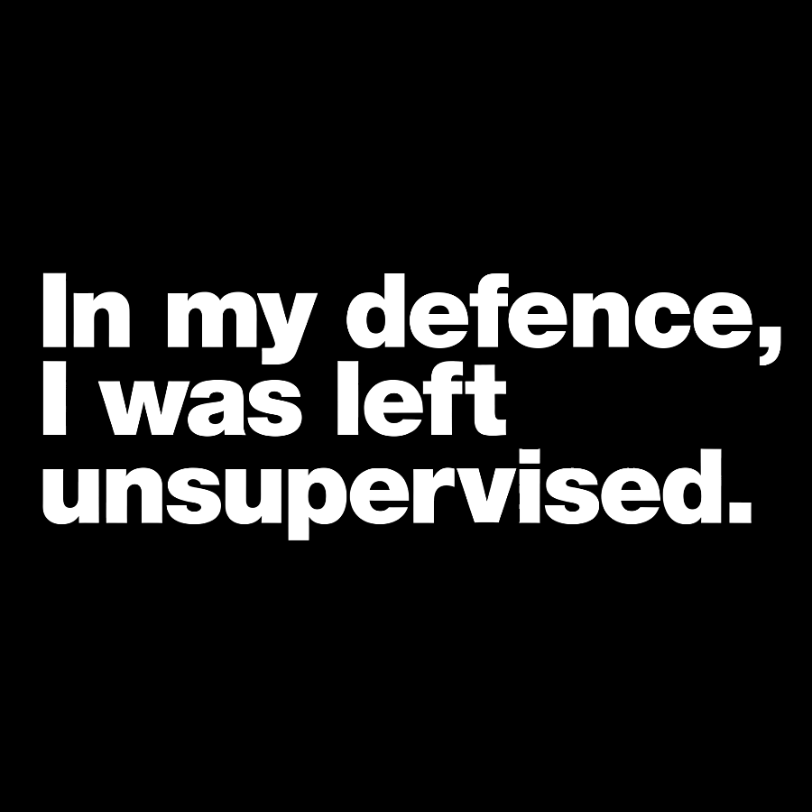 In My Defence，I Was Left Unsupervised. T-Shirt