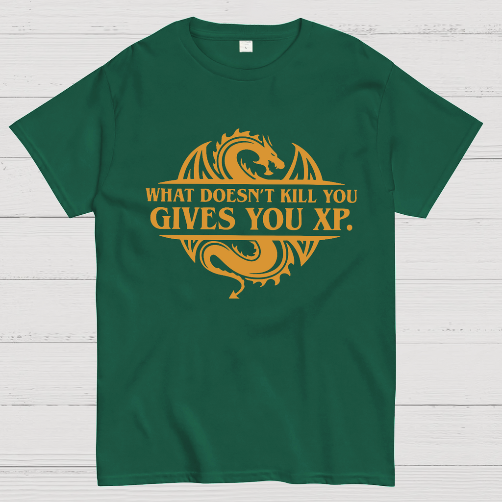 What Doesnt Kill You Give You Experience y T-Shirt