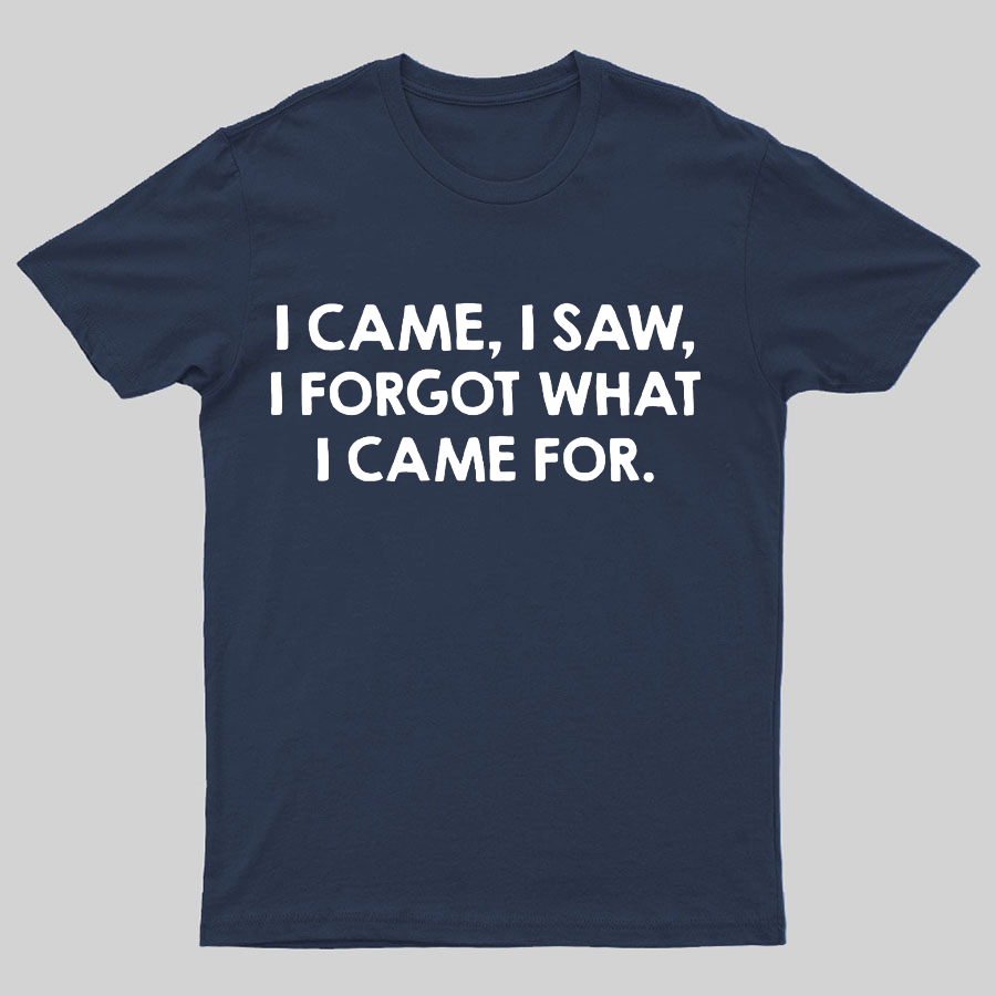 I Came and Saw Funny y T-Shirt